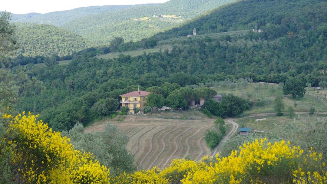Photo of Others in Orvieto