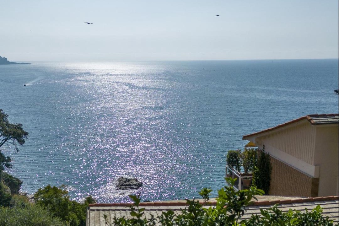 Photo of Others in Recco
