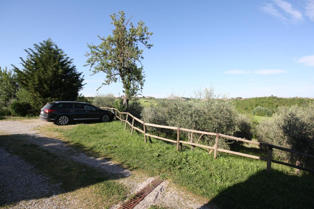 Photo of Outdoor in Castelnuovo Berardenga