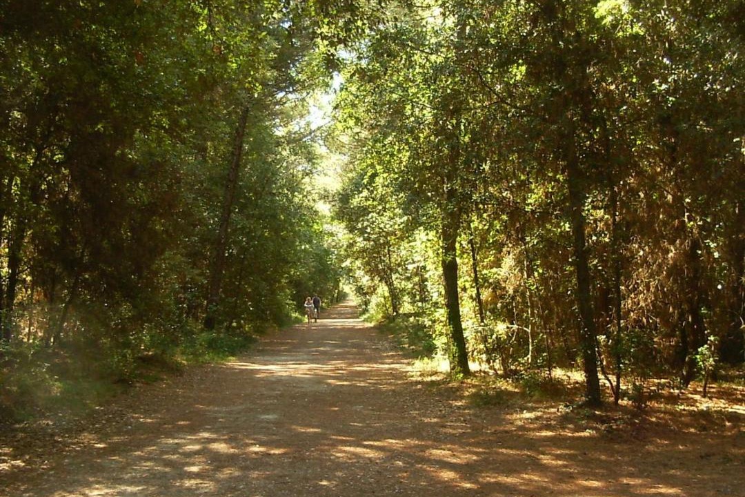 Photo of Outdoor in Lido di Volano