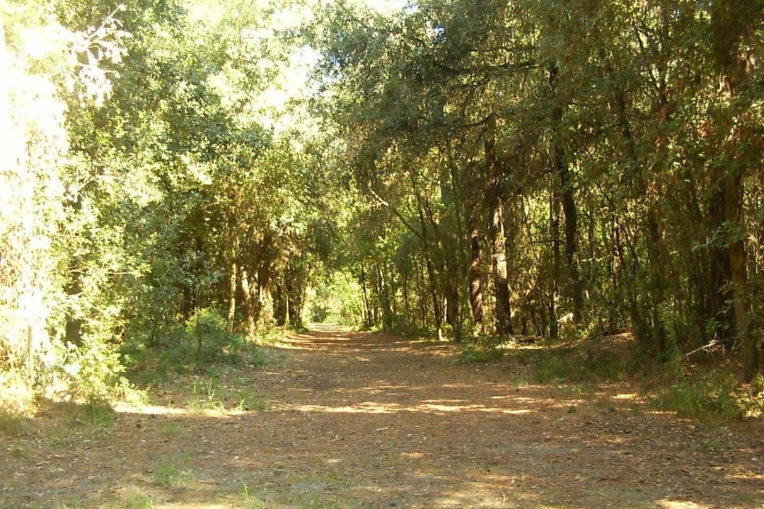Photo of Outdoor in Lido di Volano