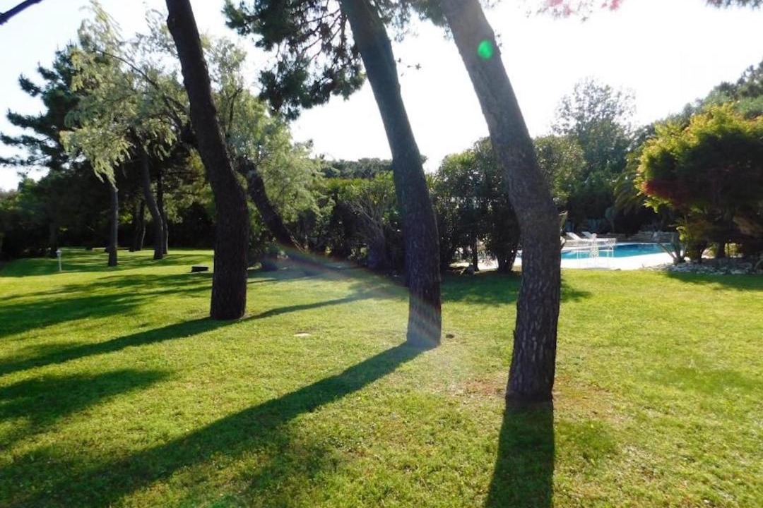 Photo of Others in Isola Albarella
