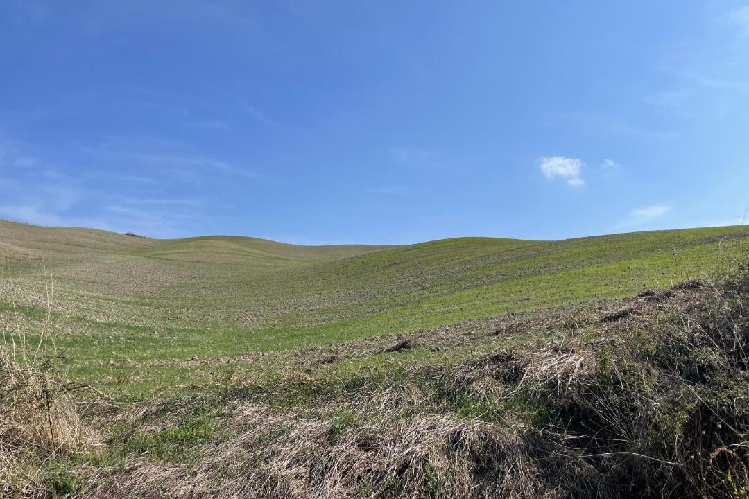 Photo of Outdoor in Trequanda