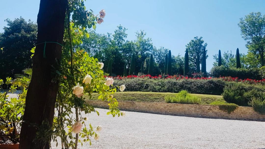 Photo of Others in Fratte Rosa
