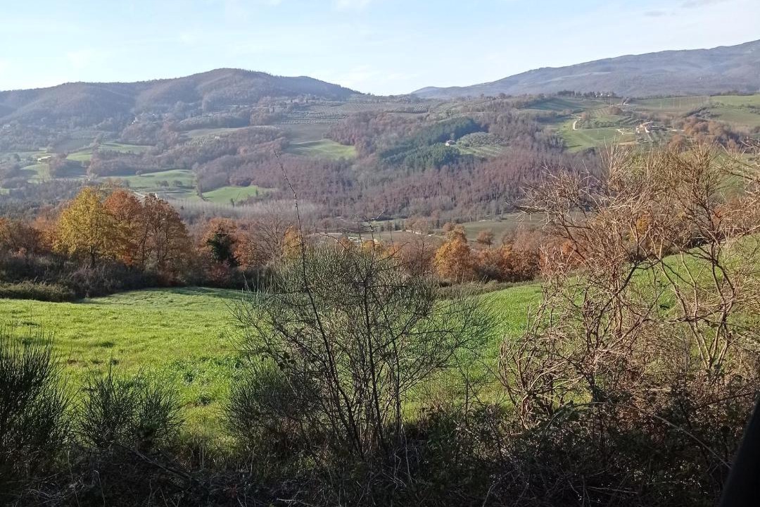 Photo of Others in San Venanzo