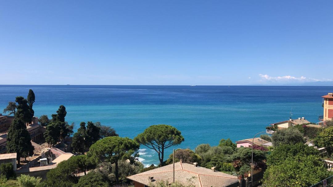 Photo of Others in Recco