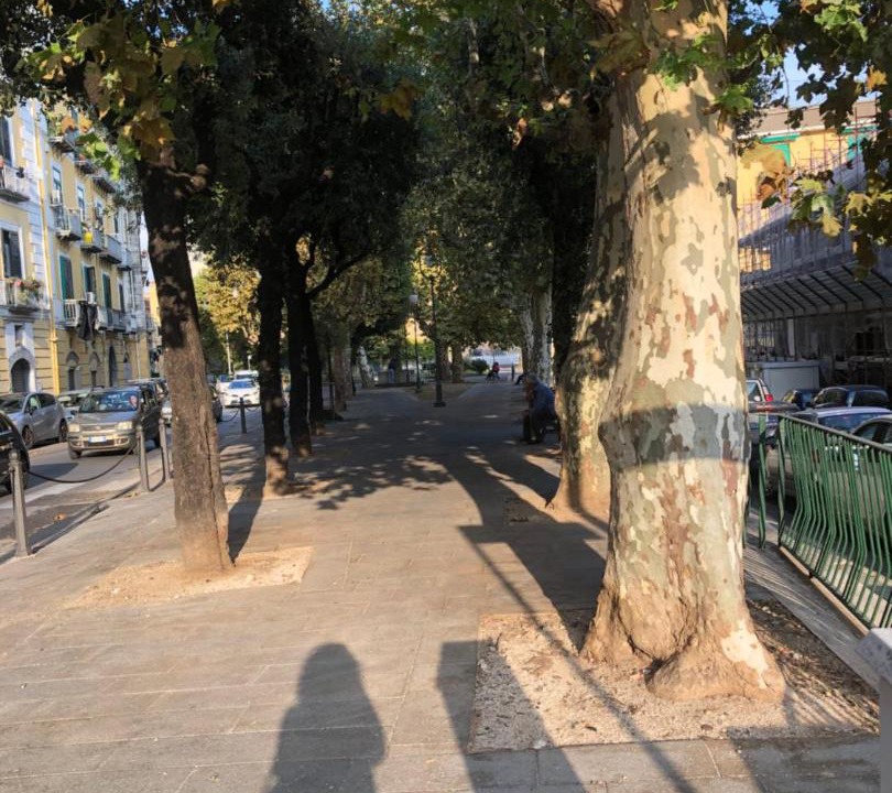 Photo of Others in Historical Downtown Salerno