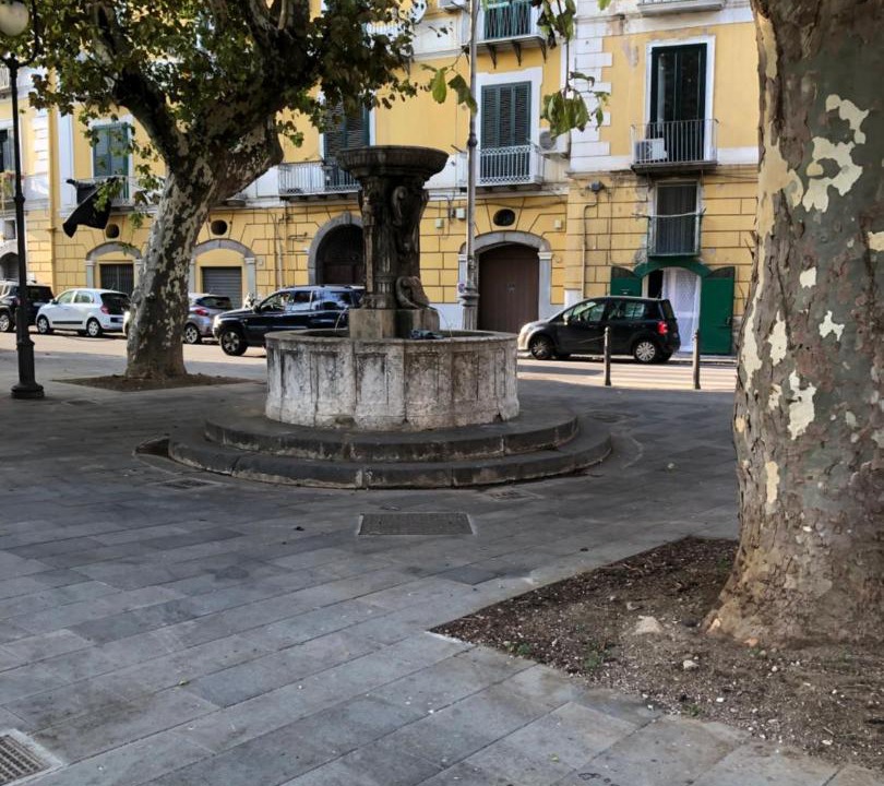 Photo of Others in Historical Downtown Salerno