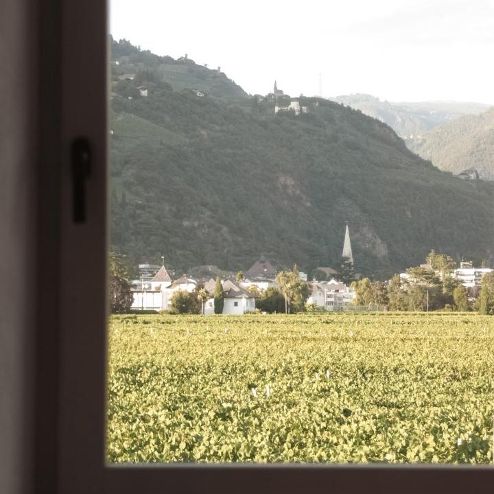 Photo of Others in Gries - Quirein