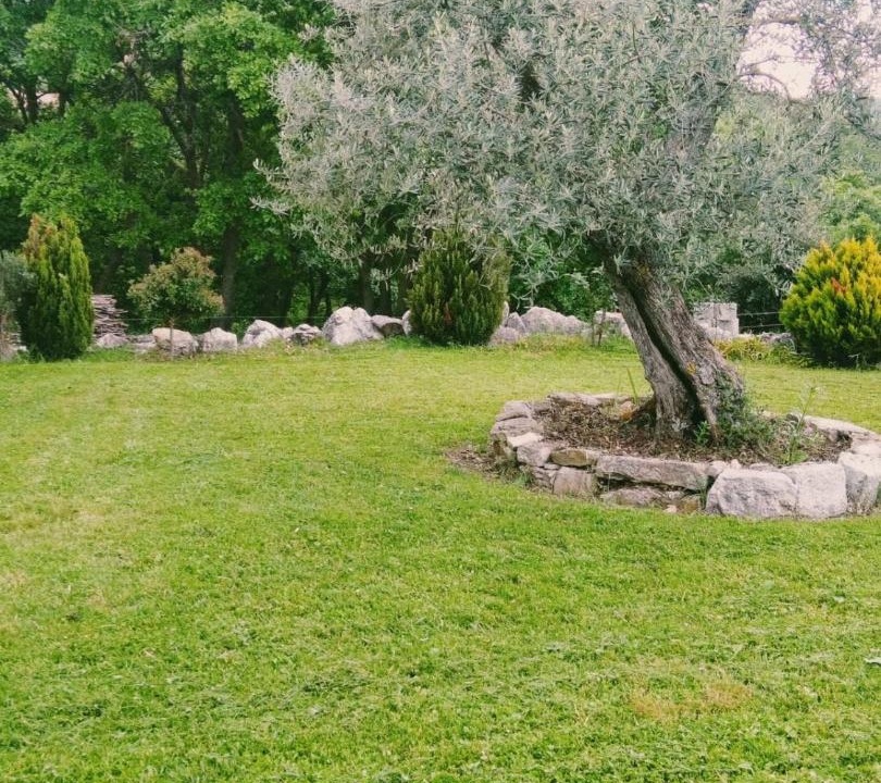 Photo of Others in Busso