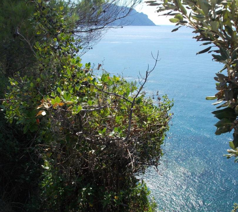Photo of Outdoor in Sori