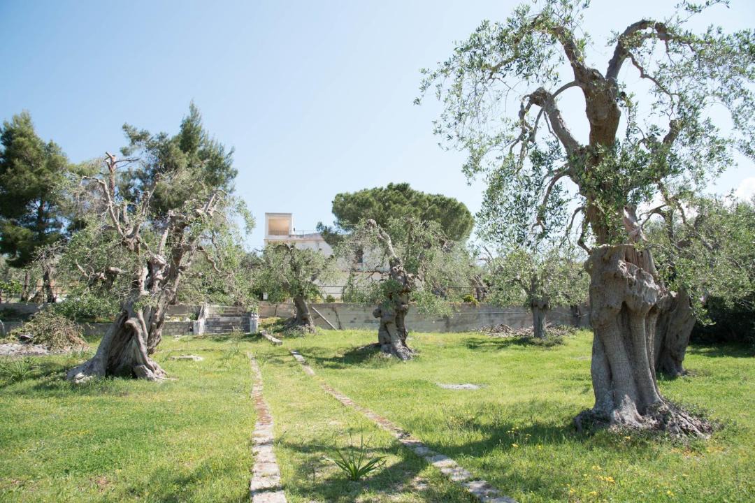Photo of Others in Ischitella
