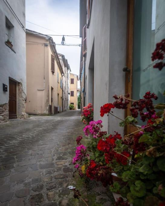 Photo of Buildings in Fossombrone
