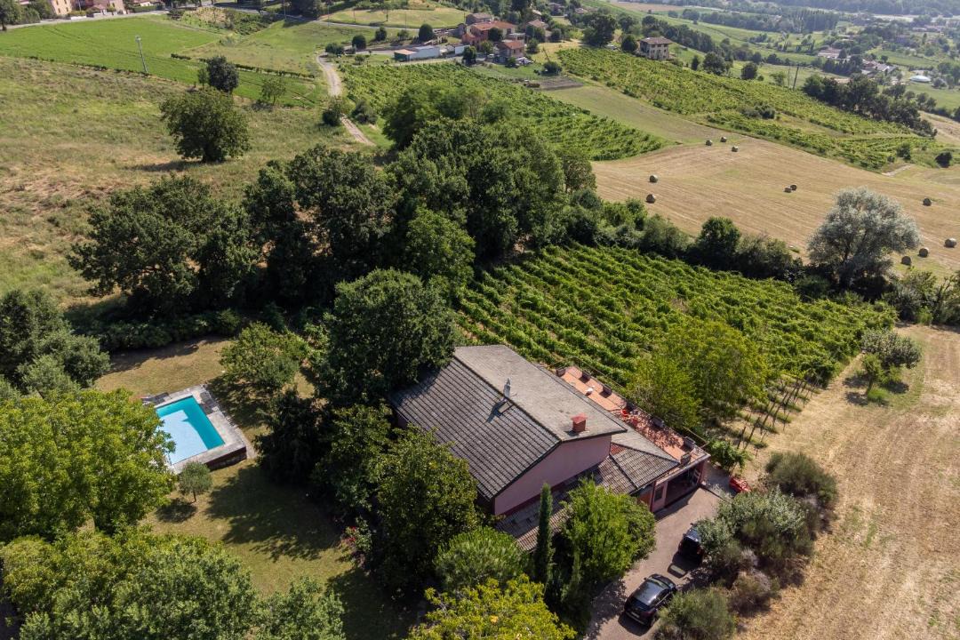 Photo of Others in Langhirano