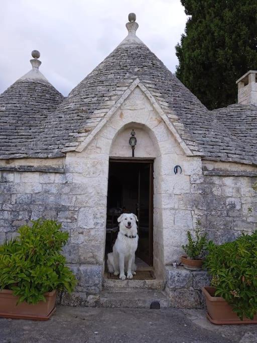 Photo of Buildings in Alcanterini