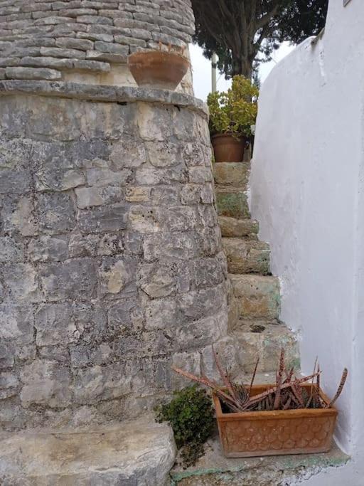 Photo of Buildings in Alcanterini
