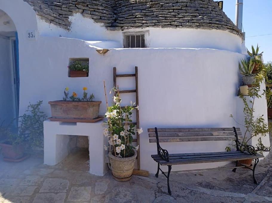 Photo of Others in Alcanterini