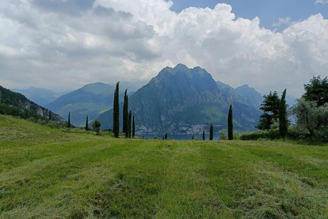 Photo of Others in Solto Collina