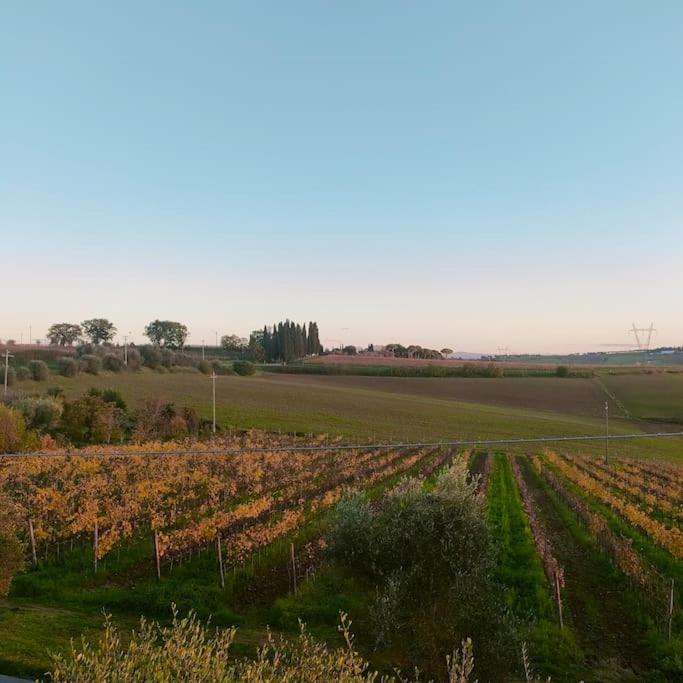 Photo of Outdoor in Ferretto