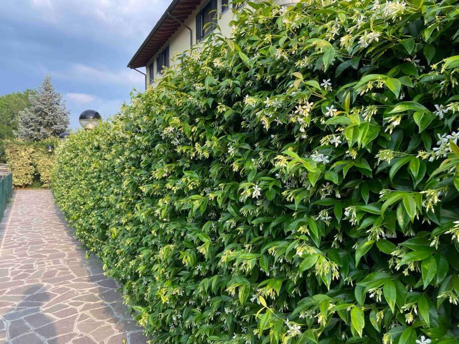 Photo of Outdoor in Zanica