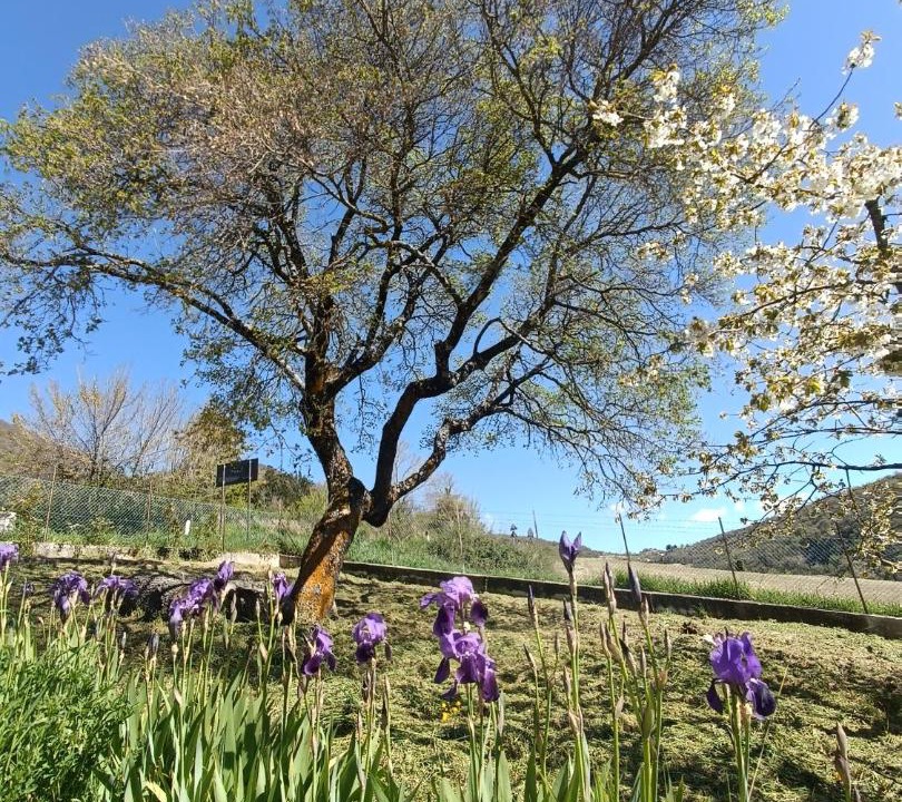 Photo of Outdoor in Vallo di Nera