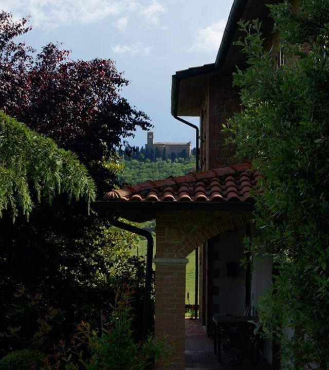 Photo of Others in Castelmuzio