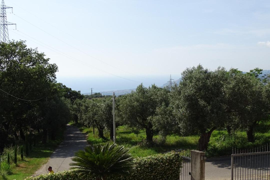 Photo of Others in Nocera Terinese