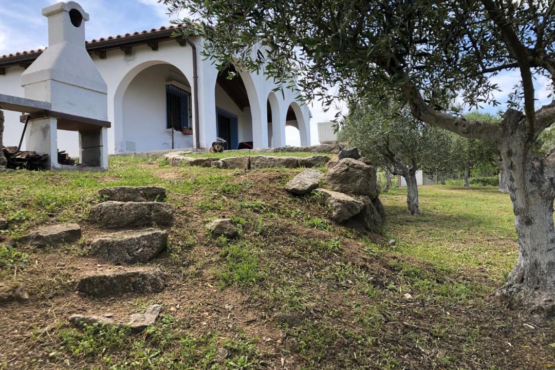 Photo of Buildings in Berchidda