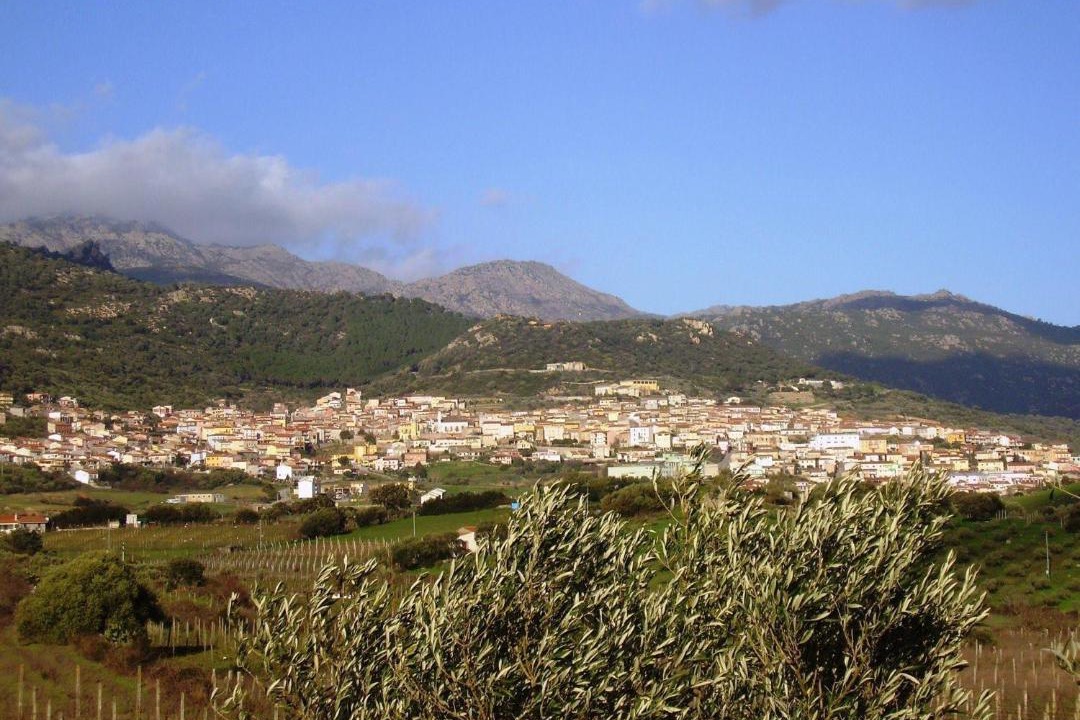 Photo of Outdoor in Berchidda
