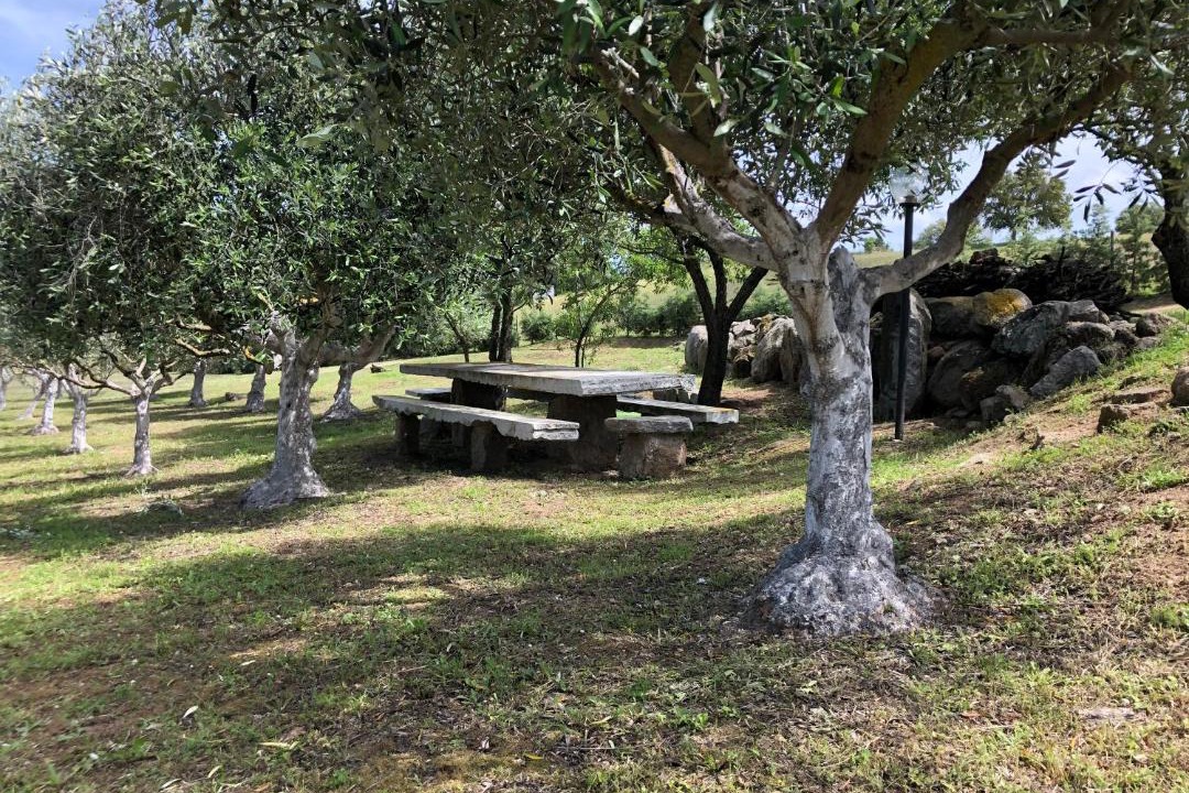 Photo of Others in Berchidda