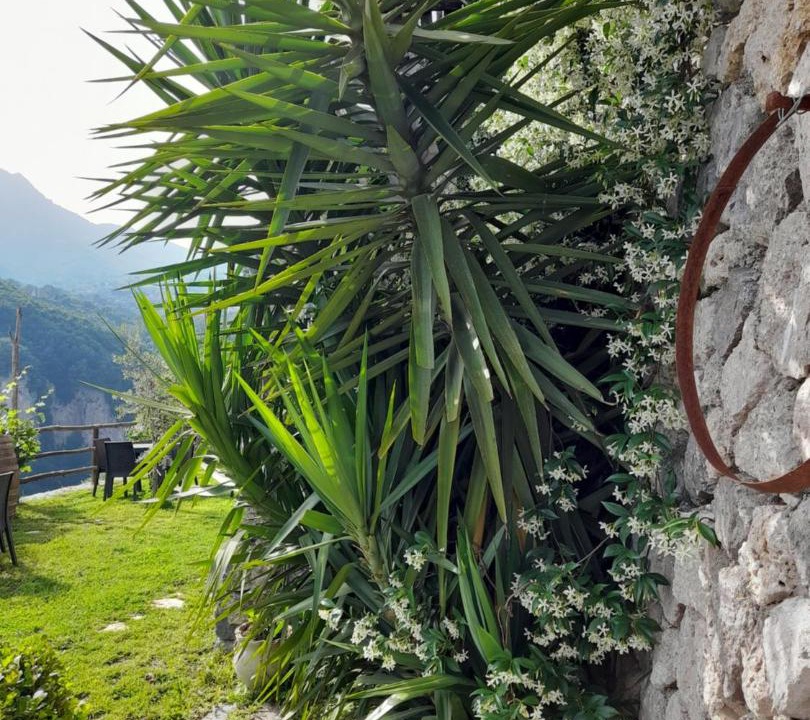 Photo of Others in San Lazzaro