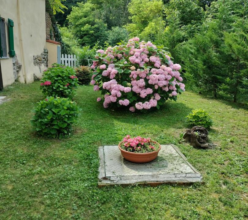 Photo of Others in San Sebastiano da Po