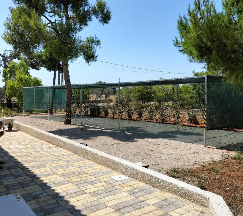 Photo of Others in Province of Lecce