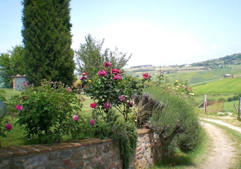 Photo of Others in Montepulciano