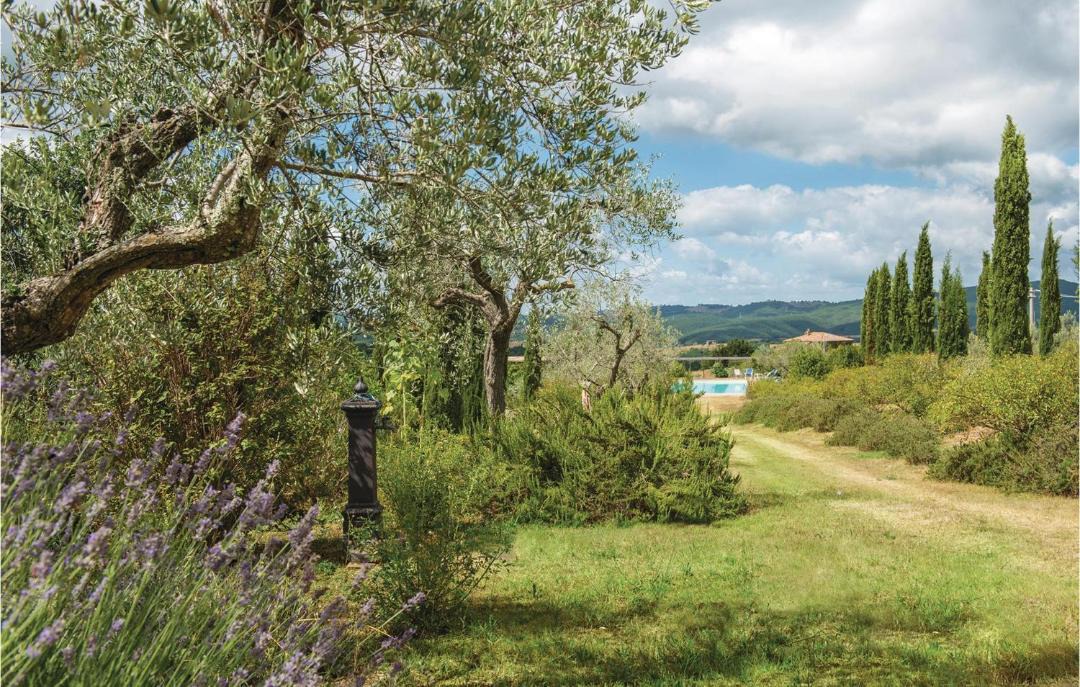 Photo of Others in Teverina di Cortona