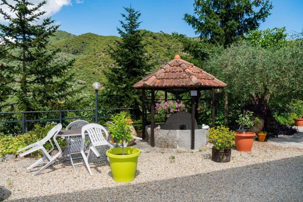 Photo of Others in Rocchetta Nervina
