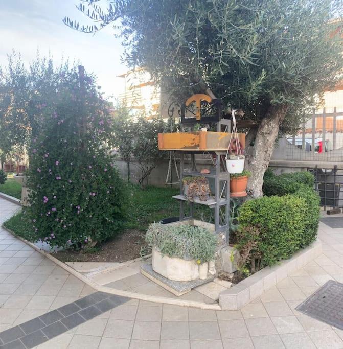 Photo of Outdoor in Zona XXXII Acilia Nord