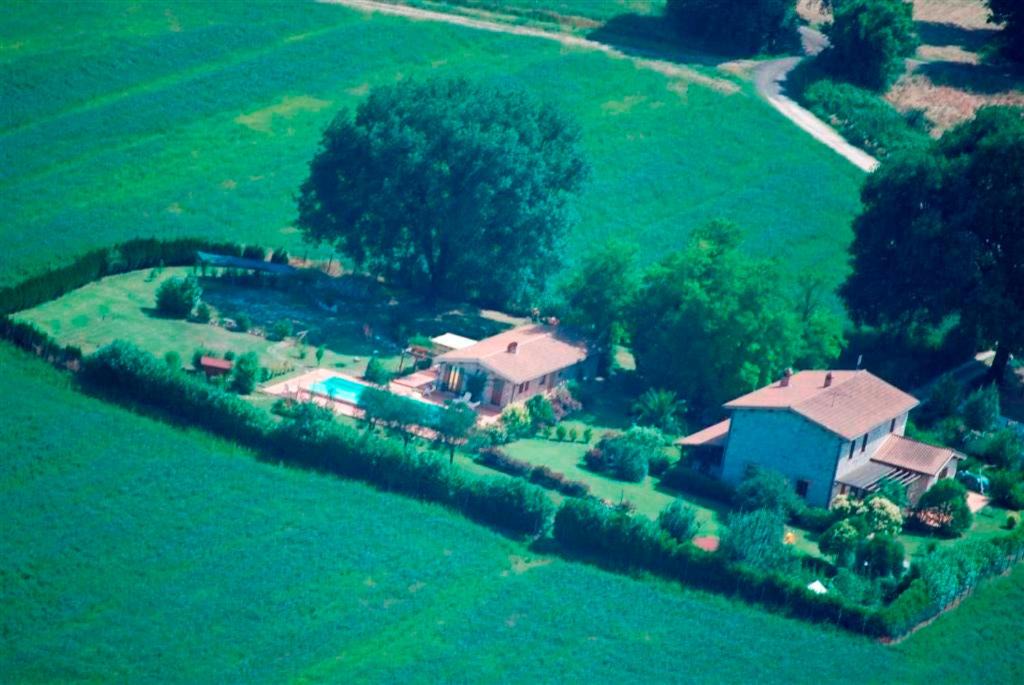 Photo of Others in Chia