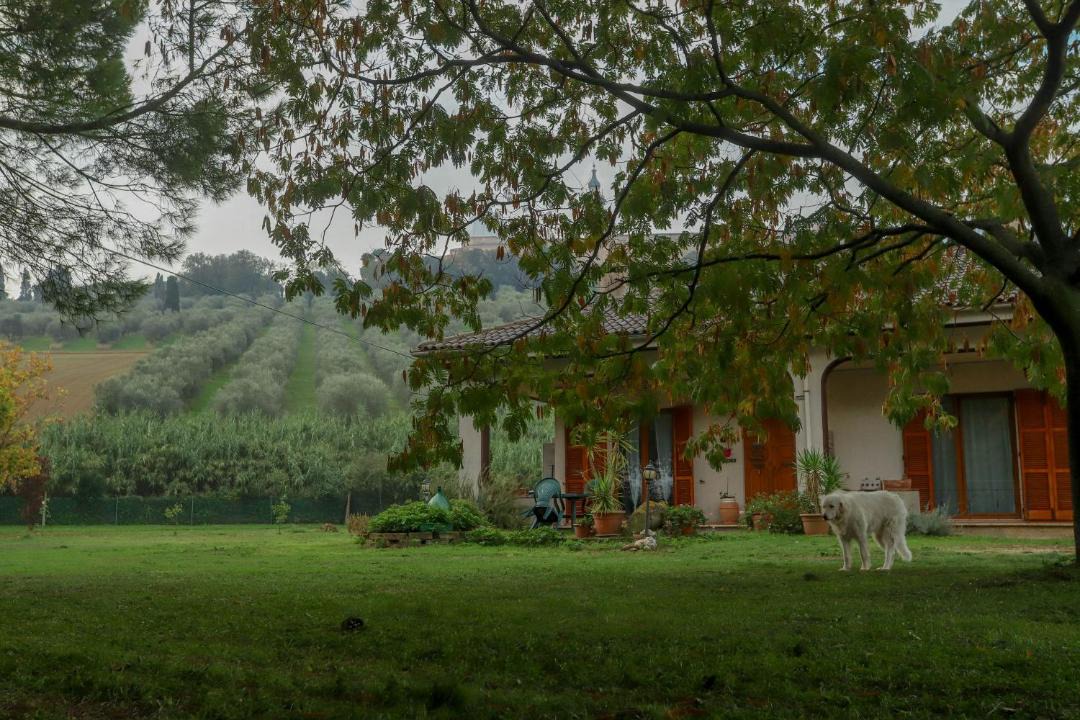 Photo of Buildings in Loreto