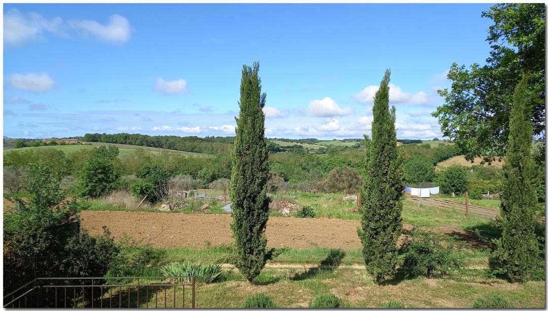 Photo of Outdoor in Ferretto