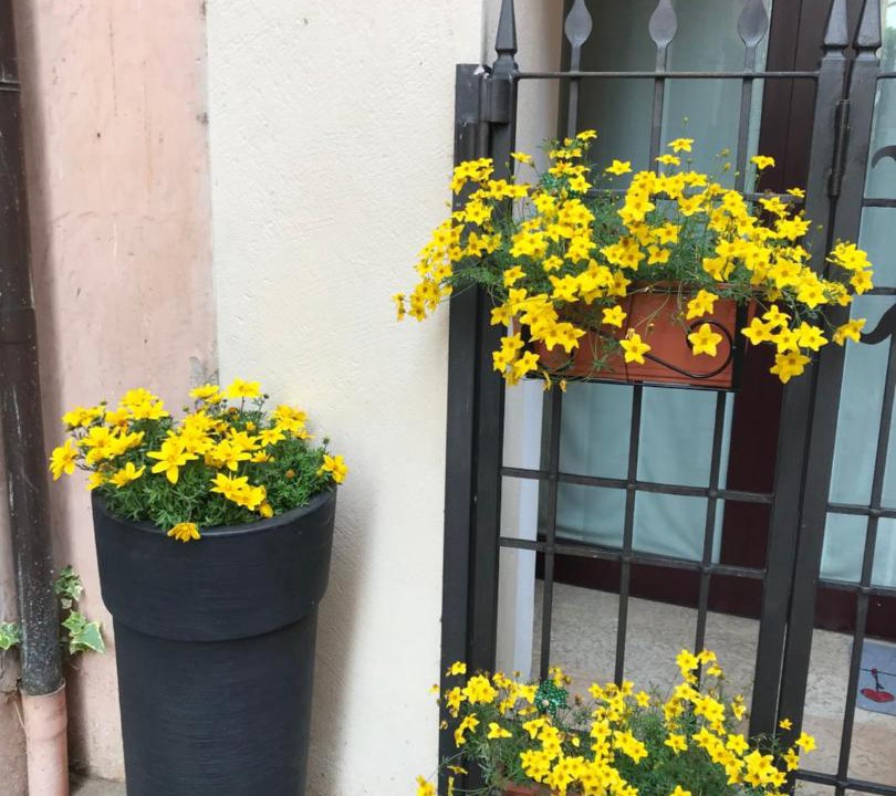 Photo of Others in Peschiera del Garda City Centre