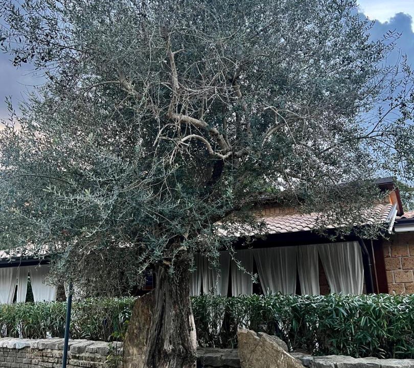 Photo of Others in Santo Stefano del Sole