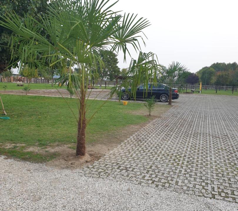 Photo of Outdoor in Fossalta Maggiore