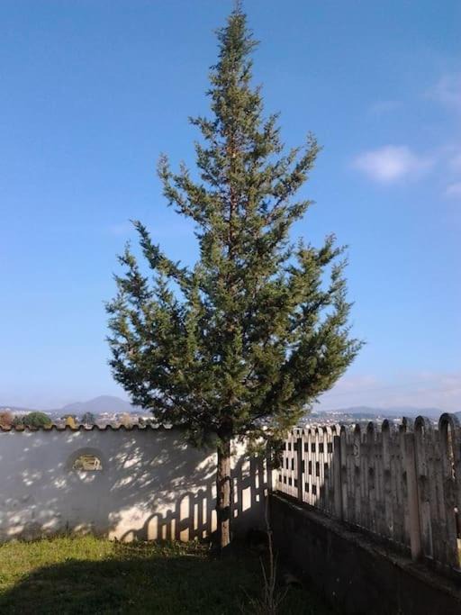 Photo of Outdoor in Albano Laziale
