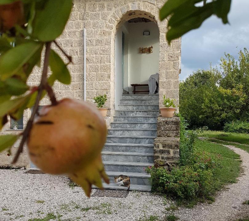 Photo of Buildings in Castel Campagnano