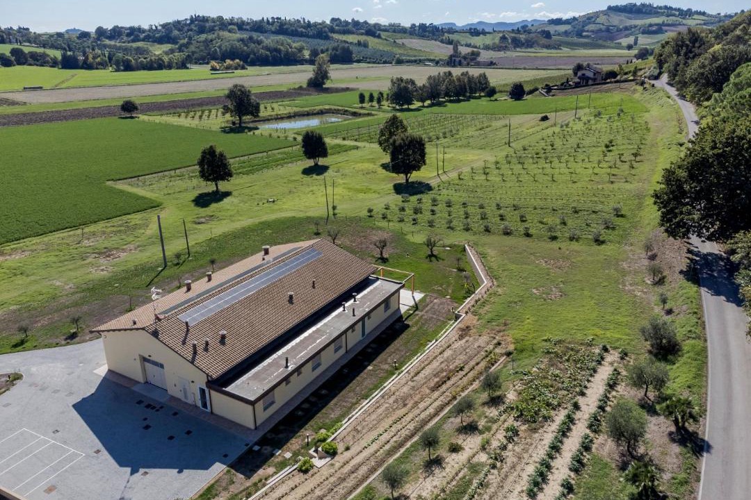 Photo of Others in Bertinoro