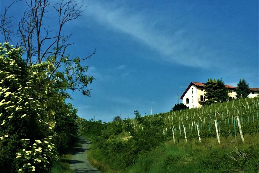 Photo of Others in Rocchetta Palafea