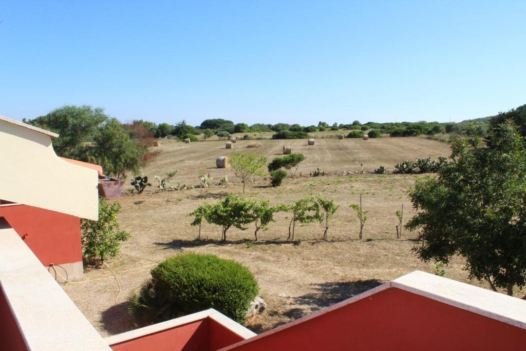 Photo of Others in Olmedo