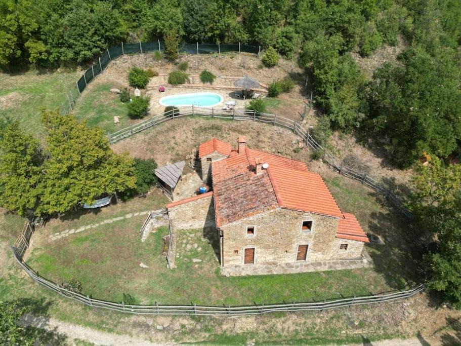Photo of Buildings in Arezzo