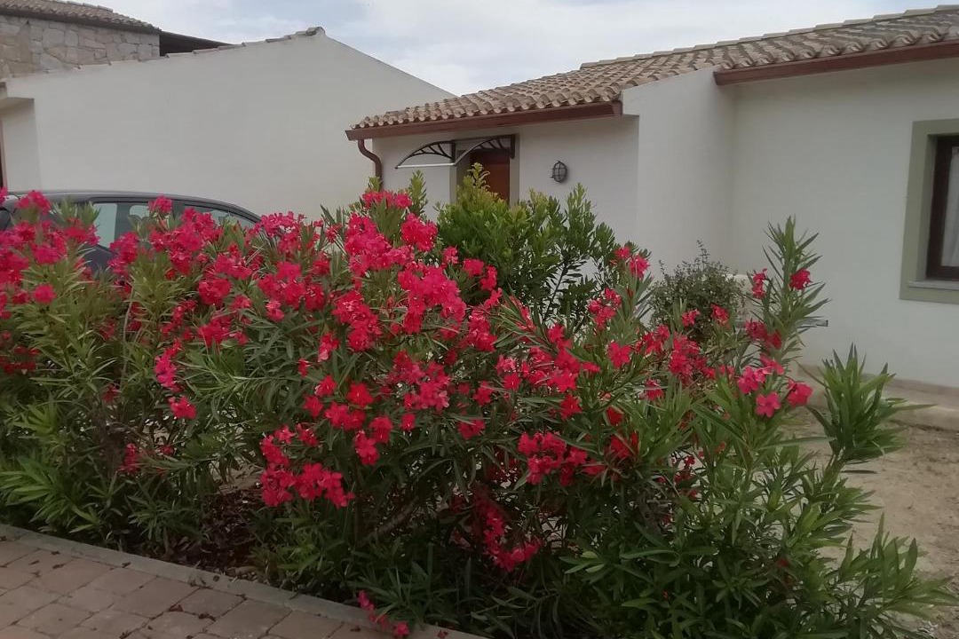 Photo of Buildings in Sant'Antonio di Gallura